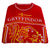 Harry Potter - Gryffindor BCD Knitted Jumper