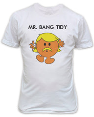 Mr Bang Tidy