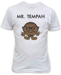 Mr Tempah