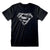 DC Superman Distressed Mono Logo T-Shirt